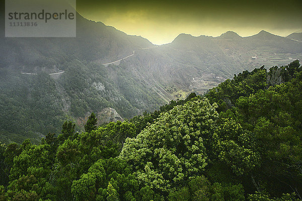 Spanien  Teneriffa  Taganana in den Anaga Bergen