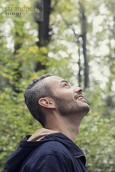 Lächelnder Mann im Wald  der nach oben schaut.