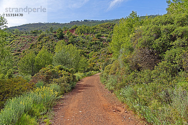 Desierto de las Palmas