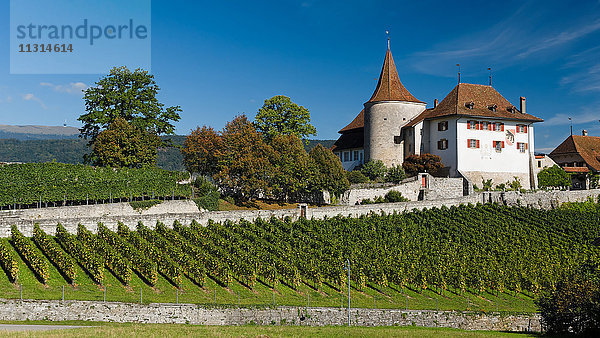 Schloss  Erlach