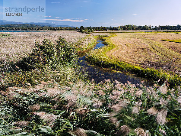 Fanel  Neuenburgersee  Neuchatelsee