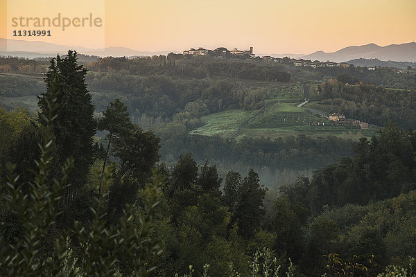 Italien  Toskana  Hügellandschaft und Wald bei Lucca