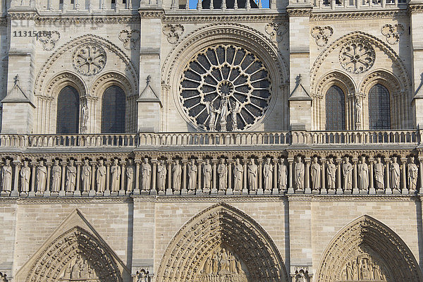 Paris  Notre Dame