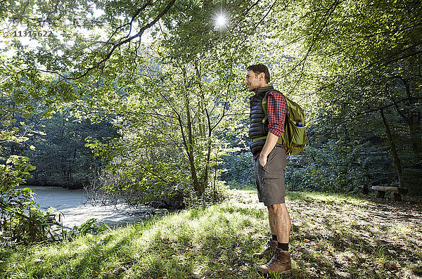 Wanderer im Wald mit Blick auf die Landschaft mit den Händen in den Taschen