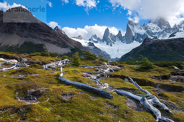 Cerro Fitz Roy  Argentinien  Patagonien