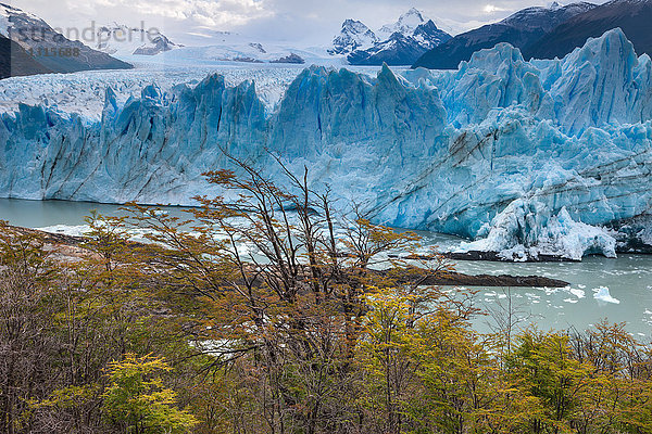 Perito Moreno  Gletscher  Argentinien  Patagonien