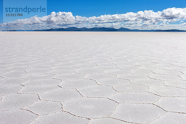 Salar de Uyuni  Bolivien  Altiplano  Salzwüste
