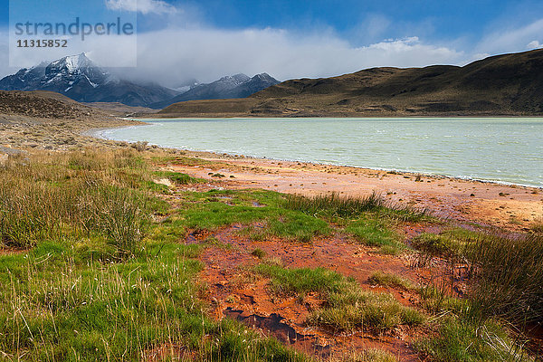 Laguna Amarga  Chile  Patagonien