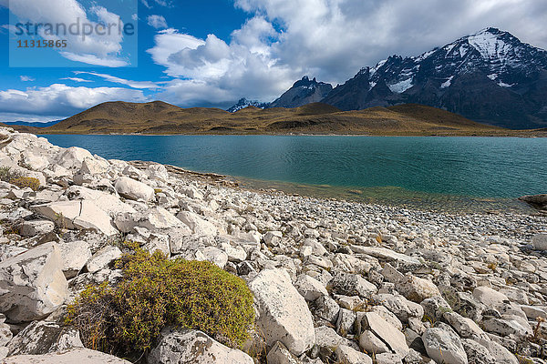 Lago Larga  Chile  Patagonien