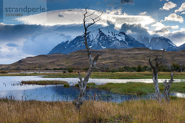 Rio Paine  Chile  Patagonien