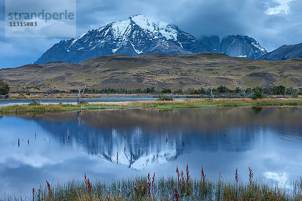 Rio Paine  Chile  Patagonien