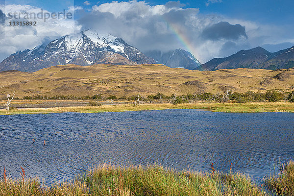 Rio Paine  Chile  Patagonien