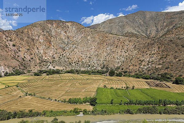 Peru  Provinz Jaen  Getreidefelder und Reisfelder am Rio Huancabamba