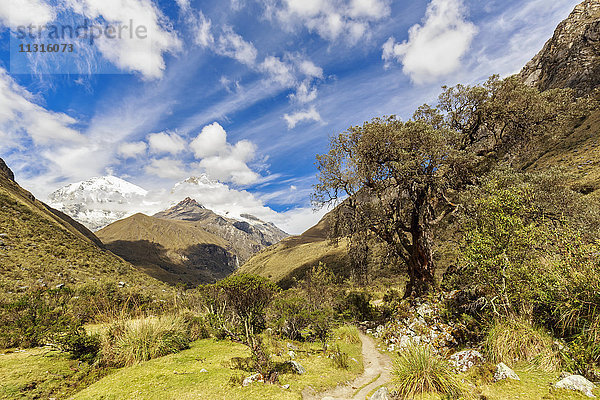 Peru  Anden  Cordillera Blanca  Huascaran Nationalpark  Nevado Huascaran  Wanderweg
