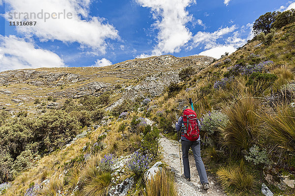 Peru  Anden  Cordillera Blanca  Huascaran Nationalpark  Tourist auf Wanderweg