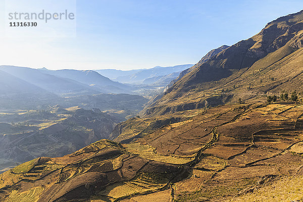 Peru  Anden  Chivay  Colca Canyon  geerntete Maisfelder