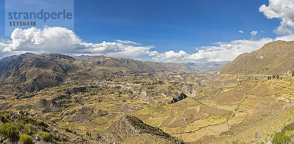 Peru  Anden  Chivay  Colca Canyon  Blick vom Mirador Antahuilque auf geerntete Maisfelder