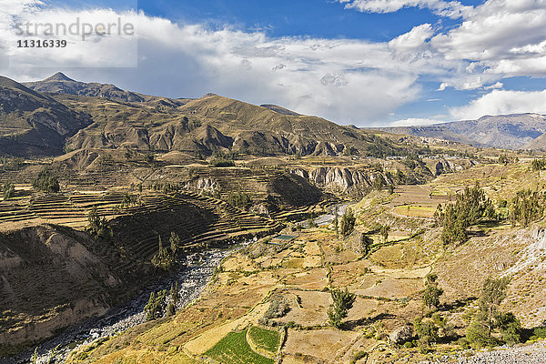 Peru  Anden  Chivay  Colca Canyon  Colca Fluss  geerntete Maisfelder