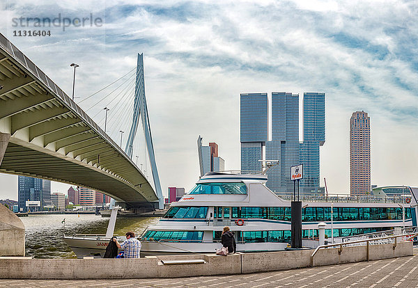 Rotterdam  Die Erasmusbrücke