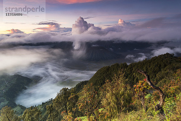 Indonesien  Ost-Java  Bromo Tengger Semeru Nationalpark  Mount Bromo  Mount Semeru  Gunung Penanjakan Aussichtspunkt