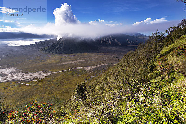 Indonesien  Ost-Java  Bromo Tengger Semeru Nationalpark  Berg Bromo  Berg Semeru