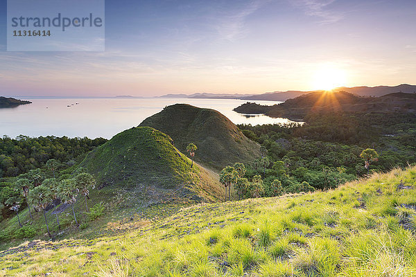 Indonesien  Nusa Tenggara Timur  Labuan Bajo  Amelia Meerblick bei Dämmerung