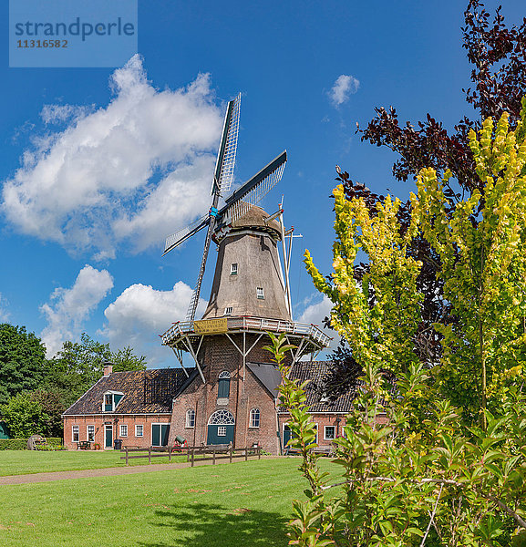 Roderwolde  Drenthe  Windmühle namens Woldzigt