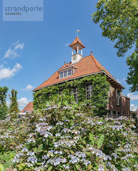 Peize  Drenthe  Besonderes Gebäude  Fassade mit Kletterpflanzen bewachsen  Glockenturm mit Uhr