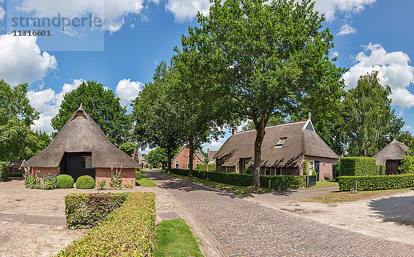 Norg  Drenthe  Bauernhäuser mit Reetdach