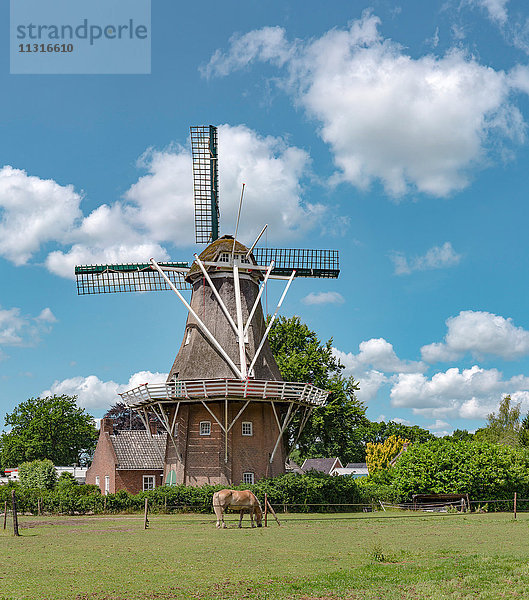 Norg  Drenthe  Kittelmühle genannt Noordenveld