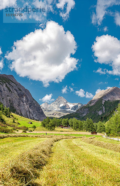 Kals am Großglockner  Österreich  Ködnitzbach-Tal  Blick auf den Großglockner