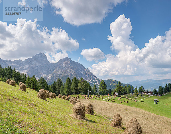 Sexten  Sexten  Italien  Heuschober auf einer Alm  Rotwandwiesen