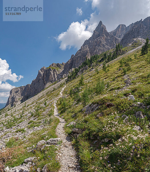 Sexten  Sexten  Italien  Bergweg zur Rotwand