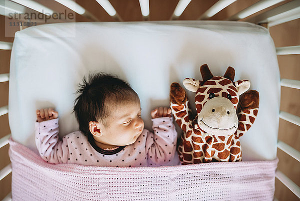 Neugeborenes Mädchen schläft in Krippe mit einer Plüschgiraffe