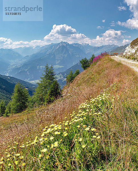 Matrei in Osttirol  Österreich  Goldried Bergbahnen  Europa Panoramaweg  Grossvenediger