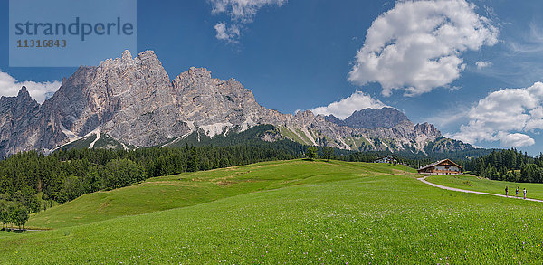 Cortina d'Ampezzo  Italien  Dolomitenberg Pomagagnon  Feld mit einer Hütte