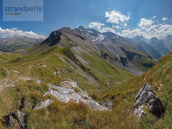 Ferleiten  Österreich  Großglockner Hochalpenstraße  Almwiese