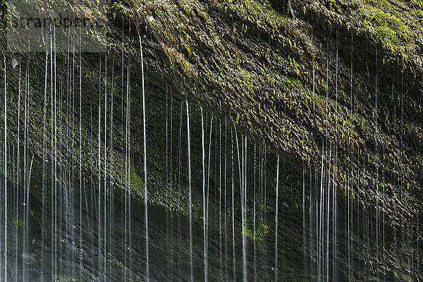 Detail der Thur-Wasserfälle  Kanton St. Gallen  Schweiz