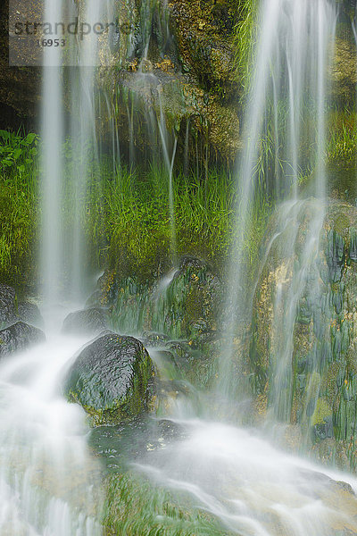 Detail Wasserfall  St. Gallen  Schweiz