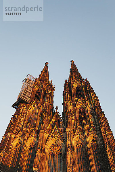 Deutschland  Köln  Blick auf den Kölner Dom von unten bei Sonnenuntergang