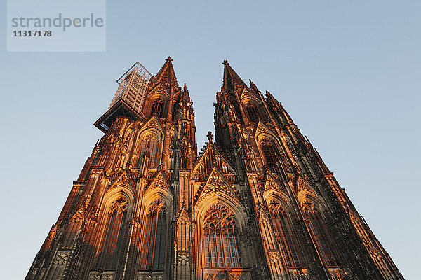 Deutschland  Köln  Blick auf den Kölner Dom von unten bei Sonnenuntergang
