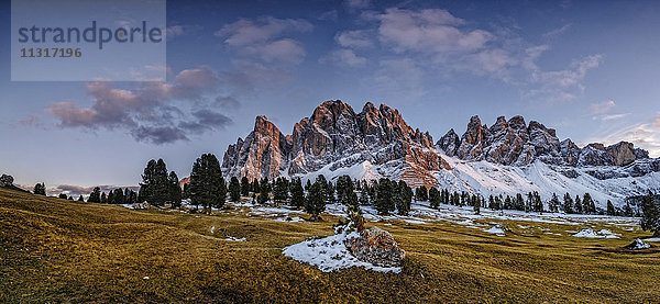 Italien  Naturpark Geisler Puez  Alm mit Geisler-Gruppe und Sass Rigais im Hintergrund