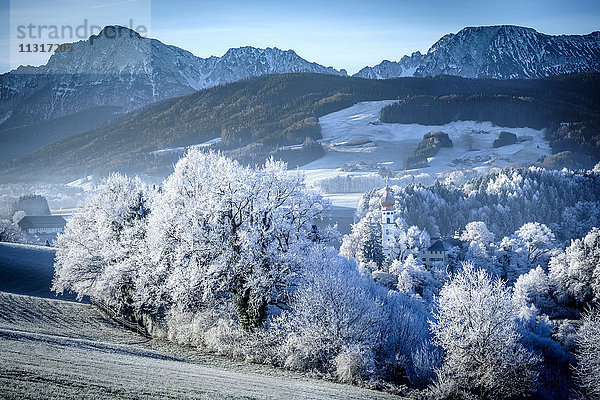 Deutschland  Bayern  Kloster Hoeglwoerth im Winter