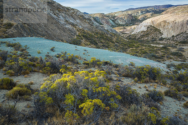 Südamerika  Argentinien  Santa Cruz  Patagonien  Lago Posadas