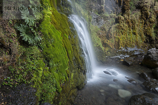 Südamerika  Argentinien  Patagonien  Rio Negro  Esquel  Wasserfall im Los Alerces National Park