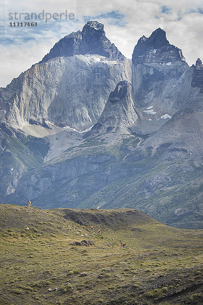 Südamerika  Patagonien  Chile  Torres del Paine  Nationalpark  UNESCO  Welterbe