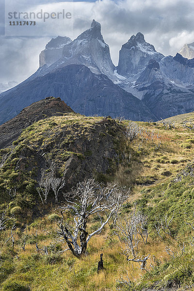 Südamerika  Chile  Patagonien  Region Magallanes  Torres del Paine  Nationalpark  UNESCO  Welterbe