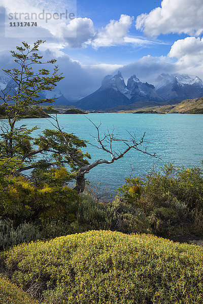 Südamerika  Patagonien  Chile  Torres del Paine  UNESCO  Welterbe  Lago pehoe