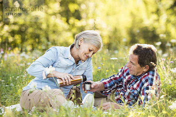 Seniorenpaar beim Picknick auf einer Wiese