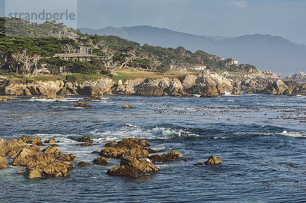 USA  Kalifornien  Küste  Monterey Peninsula  malerische Küstenlinie entlang des 17 Mile Drive